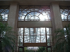 239 Longwood Gardens [2008 August 23]